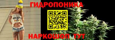 спайс Тара