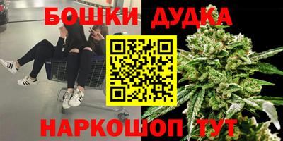 спайс Тара